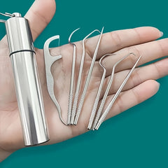 Stainless Steel Toothpicks Set with Keychain Holder