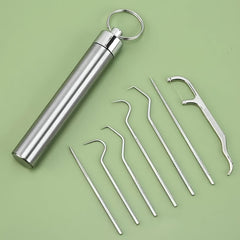Stainless Steel Toothpicks Set with Keychain Holder