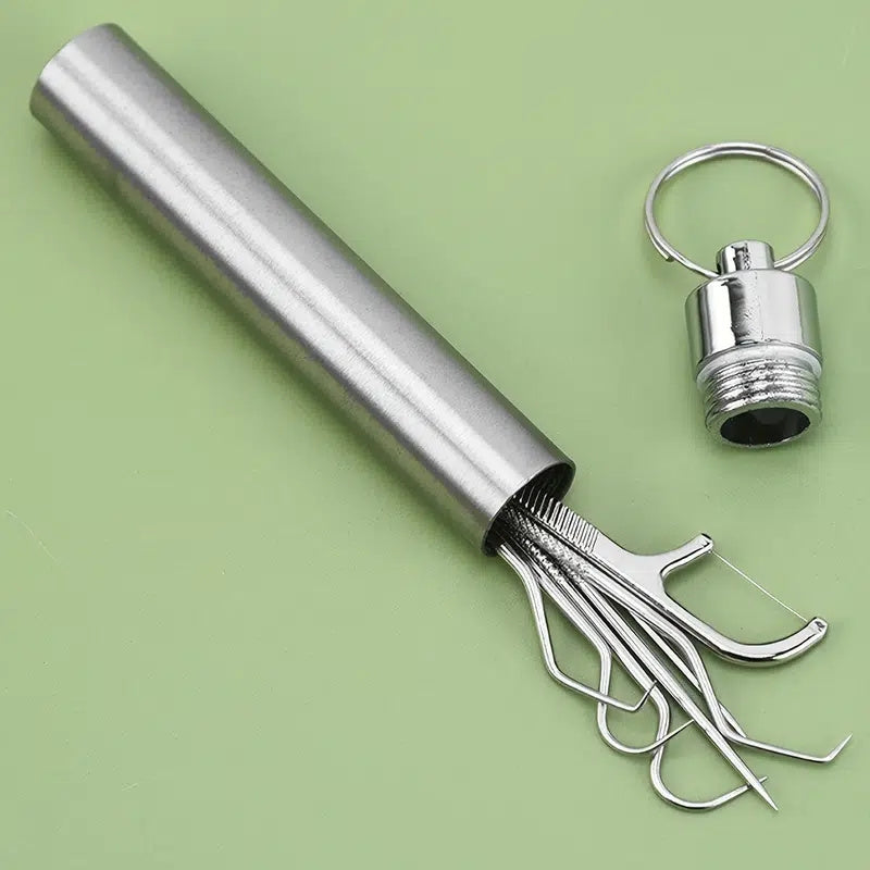 Stainless Steel Toothpicks Set with Keychain Holder