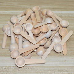 10pcs Mini Wooden Spoons Coffee Measuring Spoons Spice Powder Spoons