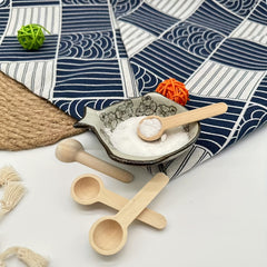 10pcs Mini Wooden Spoons Coffee Measuring Spoons Spice Powder Spoons