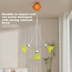 Badminton Trainer For Indoor Outdoor Exercise with 6 Balls