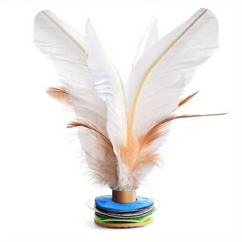 Feather Kick Shuttlecock Jianzi Toy Outdoor Sports Fitness