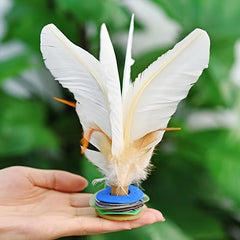 Feather Kick Shuttlecock Jianzi Toy Outdoor Sports Fitness