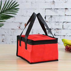 Insulated Cooler Bag for Picnics BBQs Outdoor Portable Keeps Food Drinks Cold