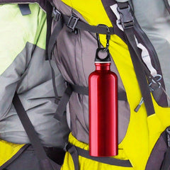 4pcs Carabiner Clip & Locking D Ring Keychain Set for Outdoor Activities