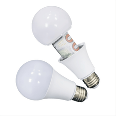 Light Bulb Transfer Safety Safe Container Home Office Storage