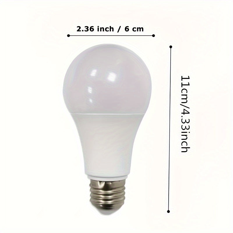 Light Bulb Transfer Safety Safe Container Home Office Storage