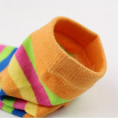 Rainbow Striped Girl's Split Toe Tabi Socks Low Cut Novelty Cotton Blnd