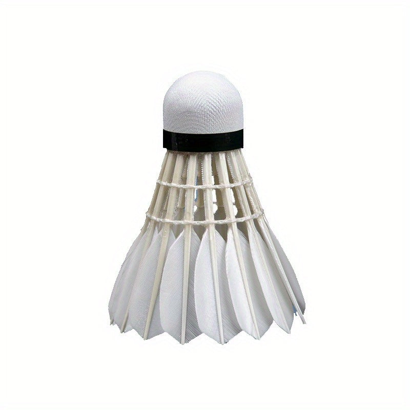 6pcs Foam Badminton Shuttlecocks Soft Balls Training