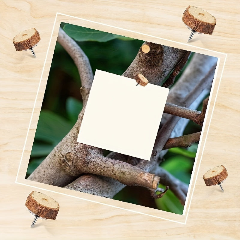 Wood Push Pins Decorative Thumb Tacks for Cork Boards