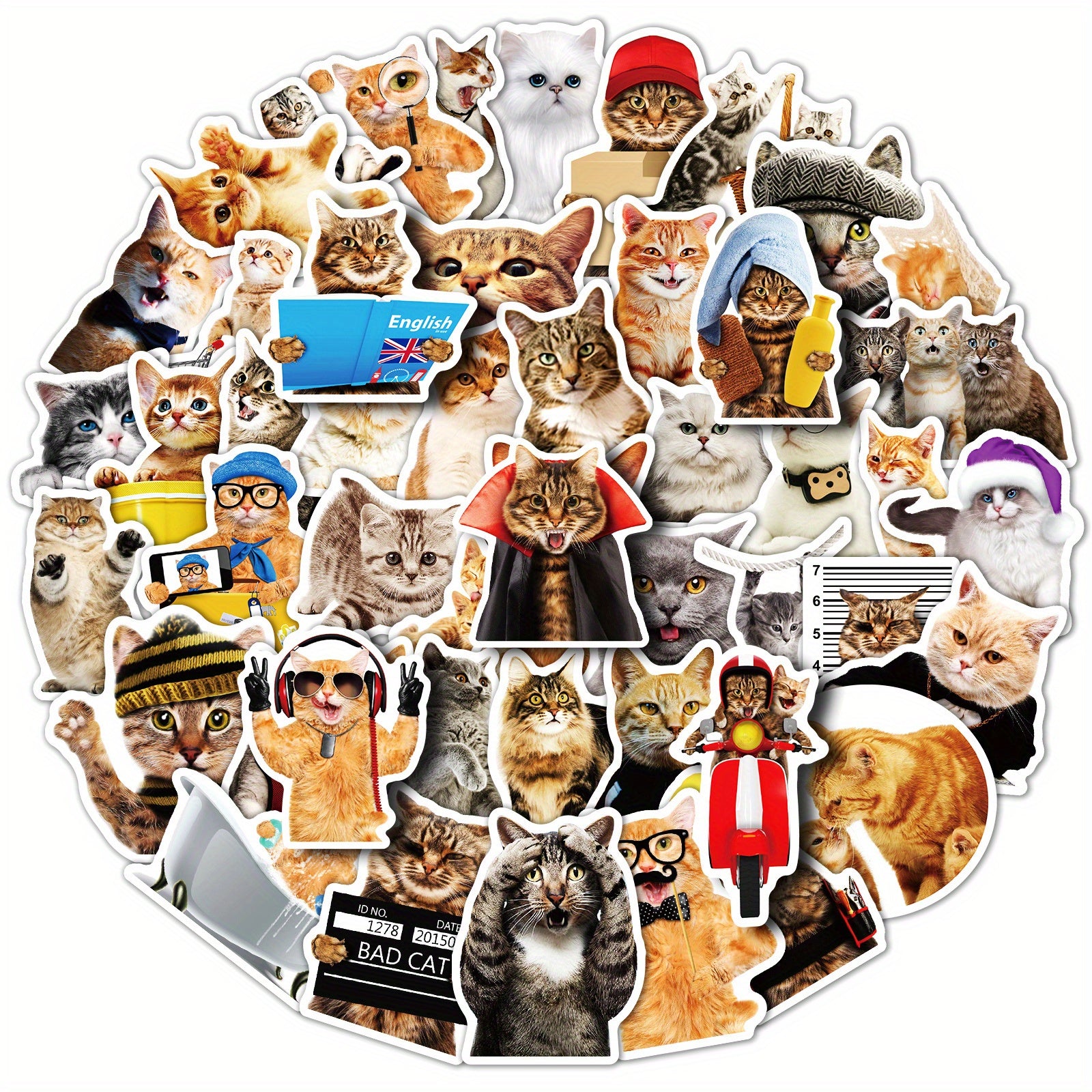50pcs Funny Cat Waterproof Laptop Sticker Cute Decal for PC Tablet Mobile Guitar