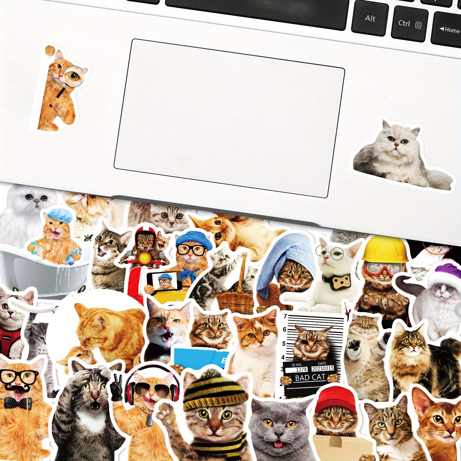 50pcs Funny Cat Waterproof Laptop Sticker Cute Decal for PC Tablet Mobile Guitar