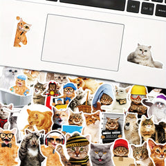 50pcs Funny Cat Waterproof Laptop Sticker Cute Decal for PC Tablet Mobile Guitar