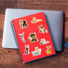 50pcs Funny Cat Waterproof Laptop Sticker Cute Decal for PC Tablet Mobile Guitar
