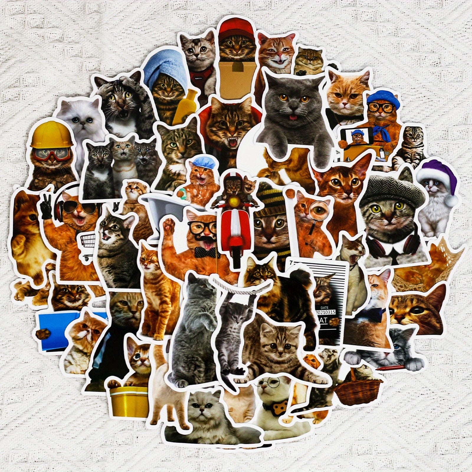 50pcs Funny Cat Waterproof Laptop Sticker Cute Decal for PC Tablet Mobile Guitar