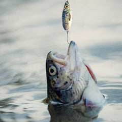 Metal Fishing Lure Spoon 3D Print Artificial Bait Freshwater Saltwater