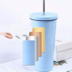 304 Stainless Steel Tumbler Cups w/ Straws Vacuum Insulated Coffee Mugs