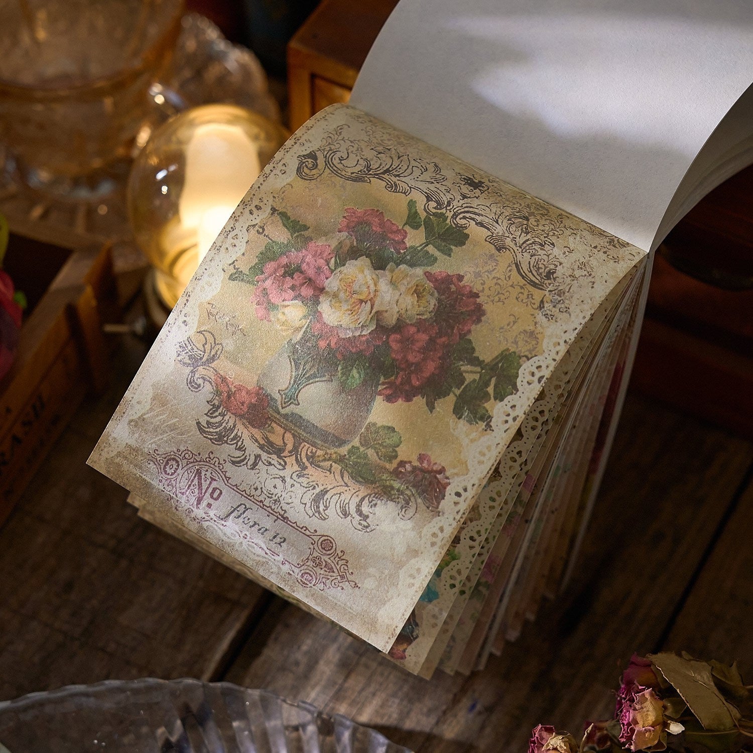 img_4020028