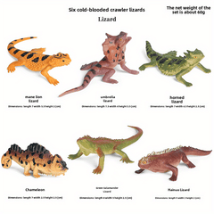 Realistic Reptile & Amphibian Toy Set, 6-Piece PVC Animal Figures for Education