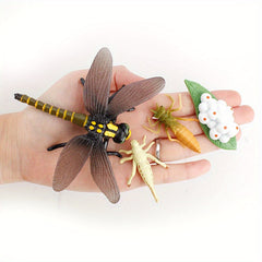 Mini Animal Dragonfly Growth Cycle Set Teaching Toy Gift
