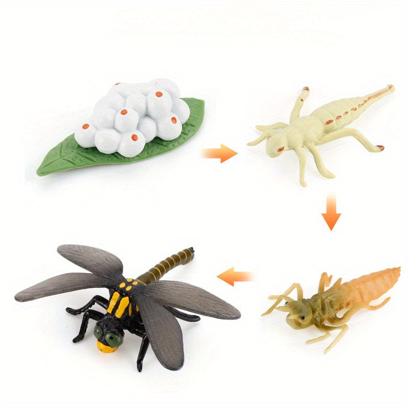 Mini Animal Dragonfly Growth Cycle Set Teaching Toy Gift