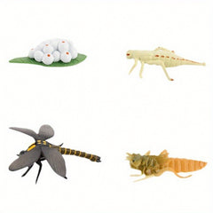 Mini Animal Dragonfly Growth Cycle Set Teaching Toy Gift