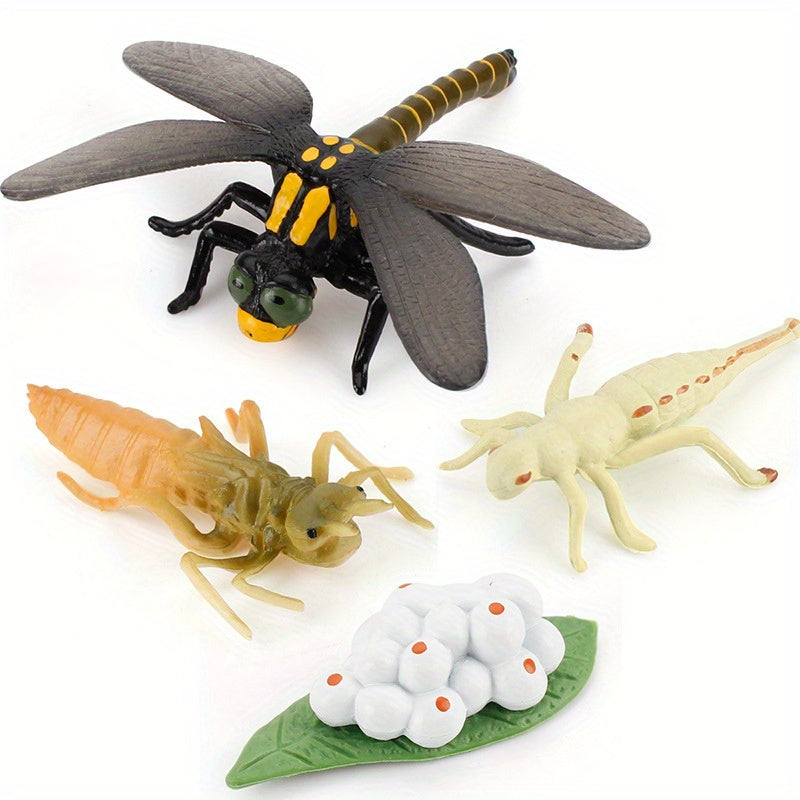 Mini Animal Dragonfly Growth Cycle Set Teaching Toy Gift