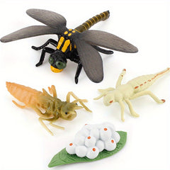 Mini Animal Dragonfly Growth Cycle Set Teaching Toy Gift