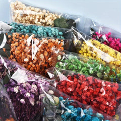 Dried Flowers Craft Kit for Resin DIY Decor, Mixed Natural Preserved Floral