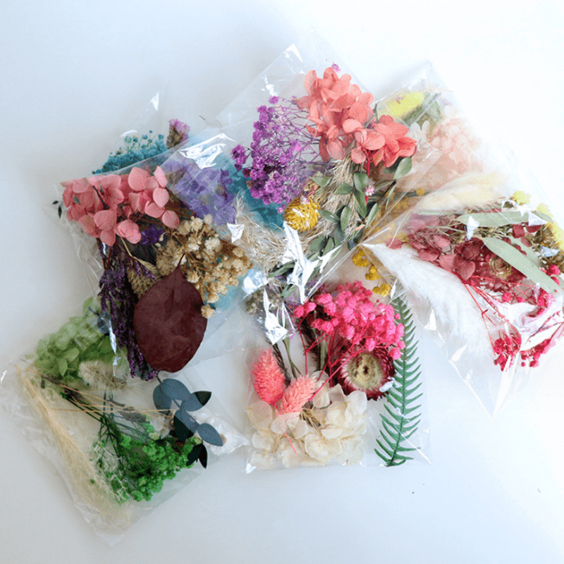 Dried Flowers Craft Kit for Resin DIY Decor, Mixed Natural Preserved Floral