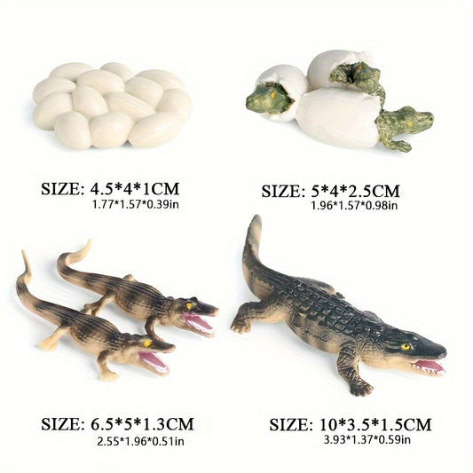 Crocodile Life Cycle Toy Set - Educational Handcrafted Animal Figurines