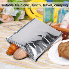5 Pack Aluminum Foil Food Storage Bags Insulated Cooler Pouches for Picnics