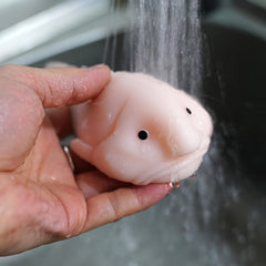 Squishy Blobfish Relax Toy for Anxiety Reduction & Sensory Play