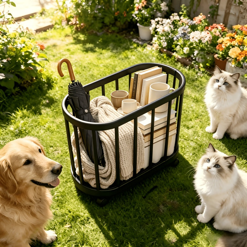 img_5569809