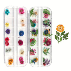 Natural Dried Flower Daisy Pressed Dried Flower With Leaf Resin Mold Fillings
