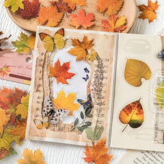 Plant Leaf Stickers Pack Of 40 DIY Decorative Art PET Material Nature Series
