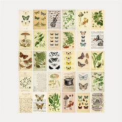 Vintage Collection Postcard Set Retro Style Nature & Ephemera Postcards
