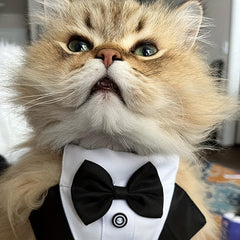 Formal Dog Tuxedo Bandana with Bow Tie for Weddings Graduations Dress Up