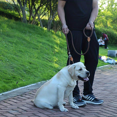img_4676049