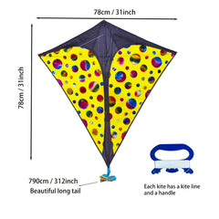 Colorful Kite With Long Tails Easy To Fly - Outdoor Entertainment