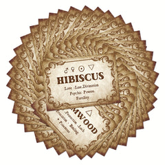 Set of 40 Vintage Witchcraft Herbs Flashcards with Meanings & Symbols