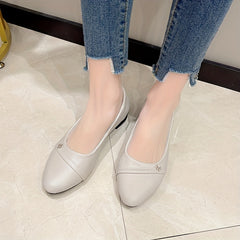 Women's Low Heel Slip-On Pointed Toe Shoes