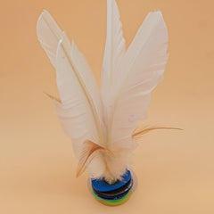Feather Shuttlecock for Exercise and Competition