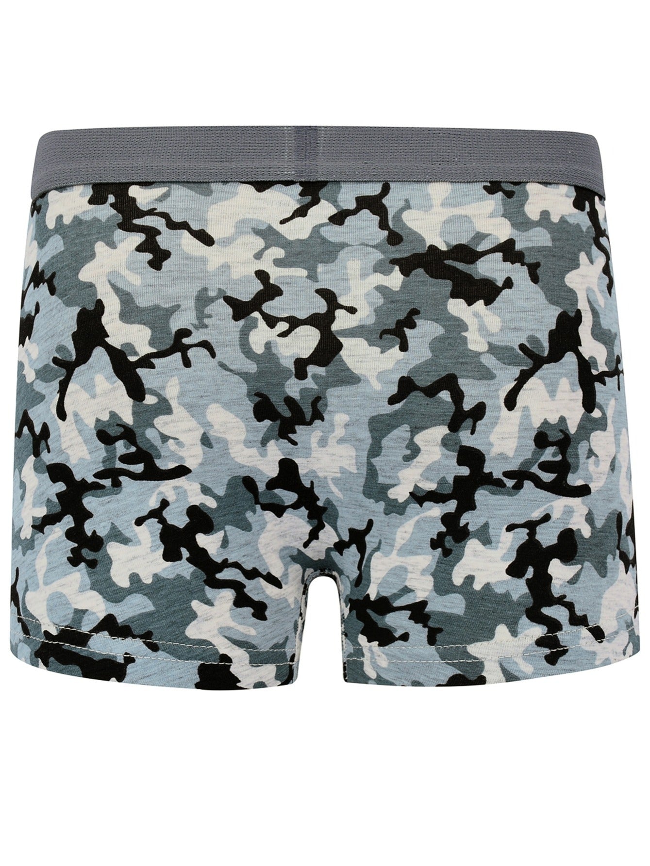 5pcs Boys Dinosaur Boxer Briefs Cotton Underpants