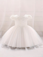 Baby Girls Puff Sleeve Mesh Princess Dress Clothes