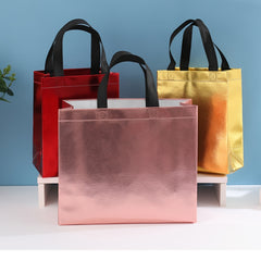 2pcs Medium to Large Reusable Gift Bags with Smooth Surface