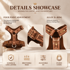 img_5202477