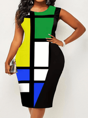 Colorblock Round Neck Slim Fit Tank Dress