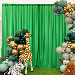 Professional Green Screen Backdrop for Streaming